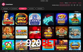 Premium Interface 920bet